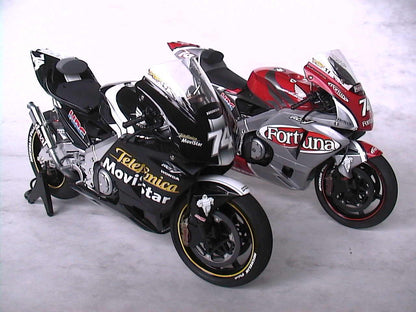 1/12 Honda RC211V '03 Sepang test [D129]