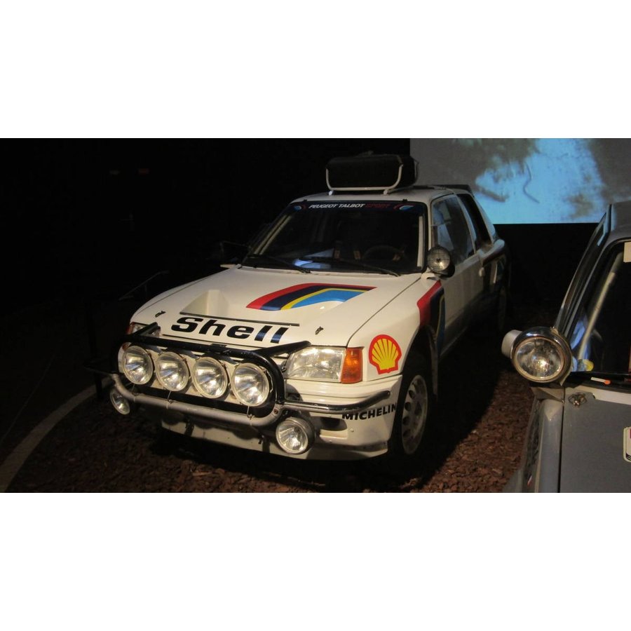 1/24 Peugeot 205 (Monte, Corus, Safari) [D927]