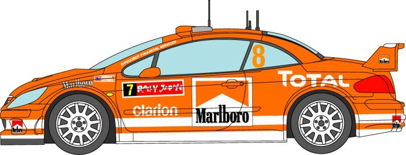 1/24 Peugeot 307 '04 Monte Carlo decal [D308]
