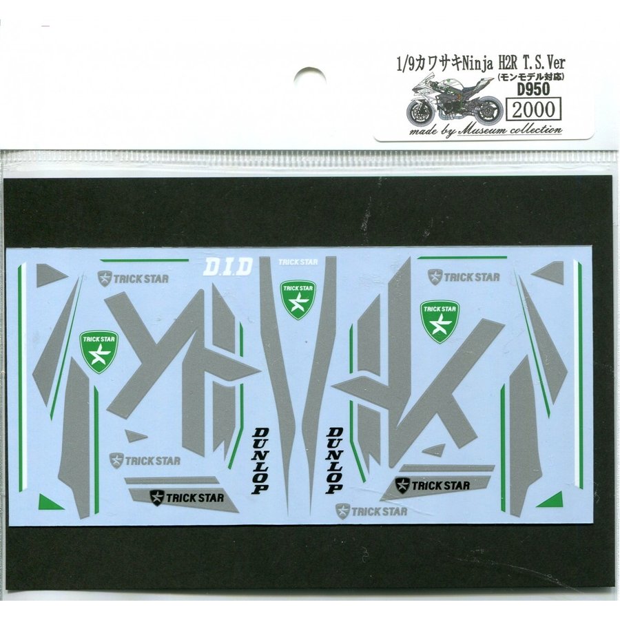 1/9 Kawasaki Ninja H2R T. S. Ver. [D950]